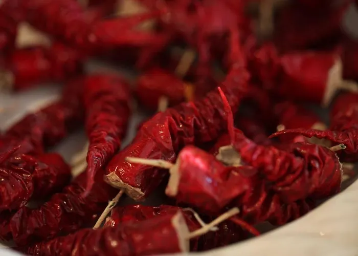 Apartament Beautiful In Traditional Halkidiki-uvc Sterilized