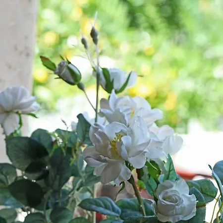 Apartment Beautiful In Traditional Halkidiki-uvc Sterilized *