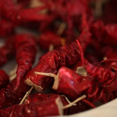 Апартаменты Beautiful In Traditional Halkidiki-uvc Sterilized