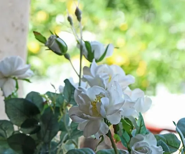 아파트 Beautiful In Traditional Halkidiki-uvc Sterilized *